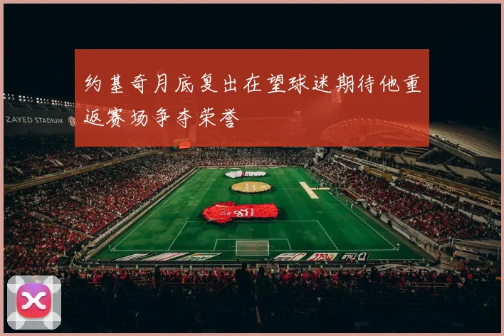 约基奇月底复出在望球迷期待他重返赛场争夺荣誉